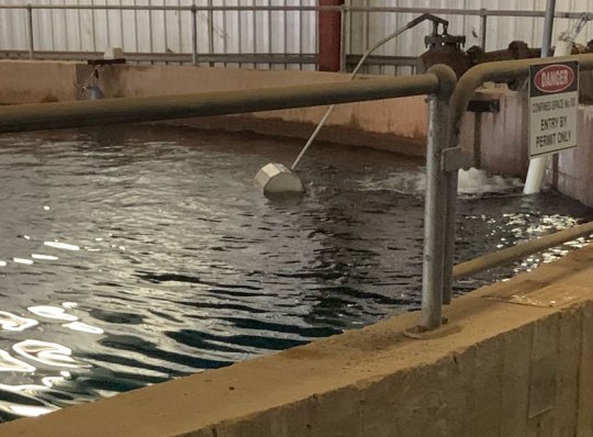 Leak detection and repair - potable water reservoir | TAG Diving