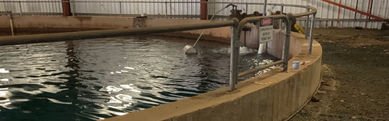 Leak detection and repair - potable water reservoir | TAG Diving