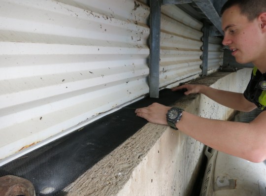 Installing Bird proofing