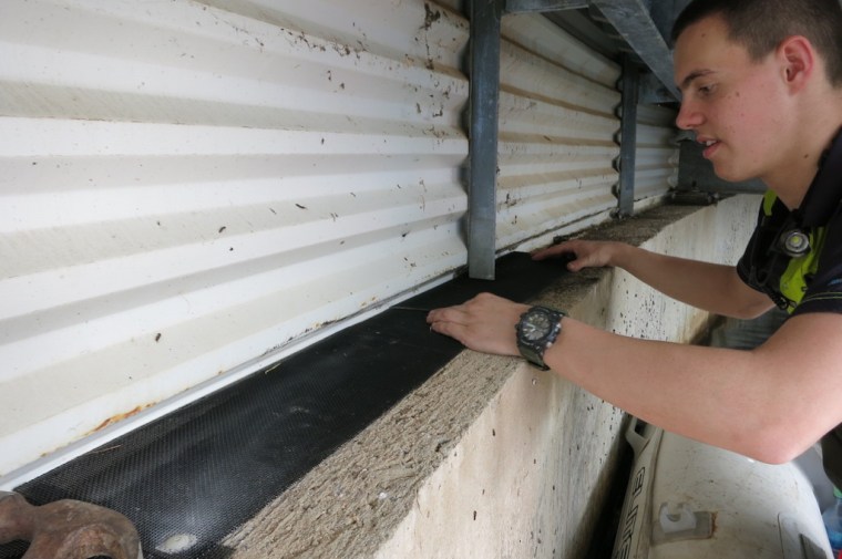 Installing Bird proofing